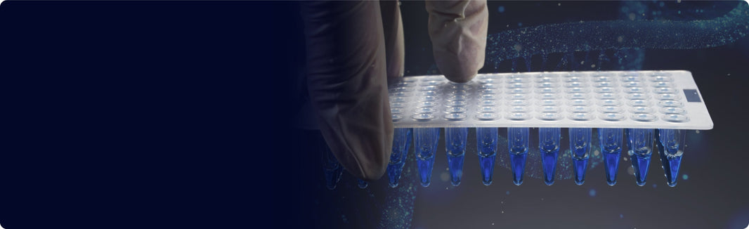 PCR and Amplification