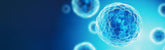 Thawing and Reculturing Cryopreserved Cells with Jet Biofil® and Pricella® HEK-293 Cell Line Revival Protocol