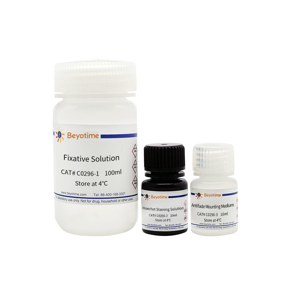Mycoplasma Stain Assay Kit, >100T