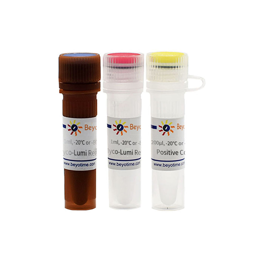 Myco-Lumi™ Luminescent Mycoplasma Detection Kit for High Sensitivity Instrument, 20T