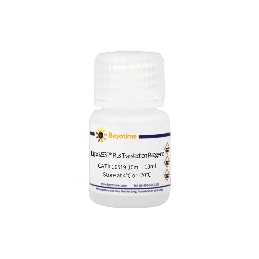 Lipo293F™ Plus Transfection Reagent, 10 mL