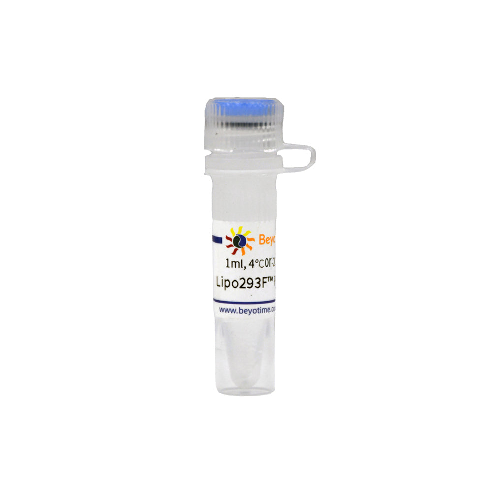 Lipo293F™ Plus Transfektionsreagenz, 1 ml