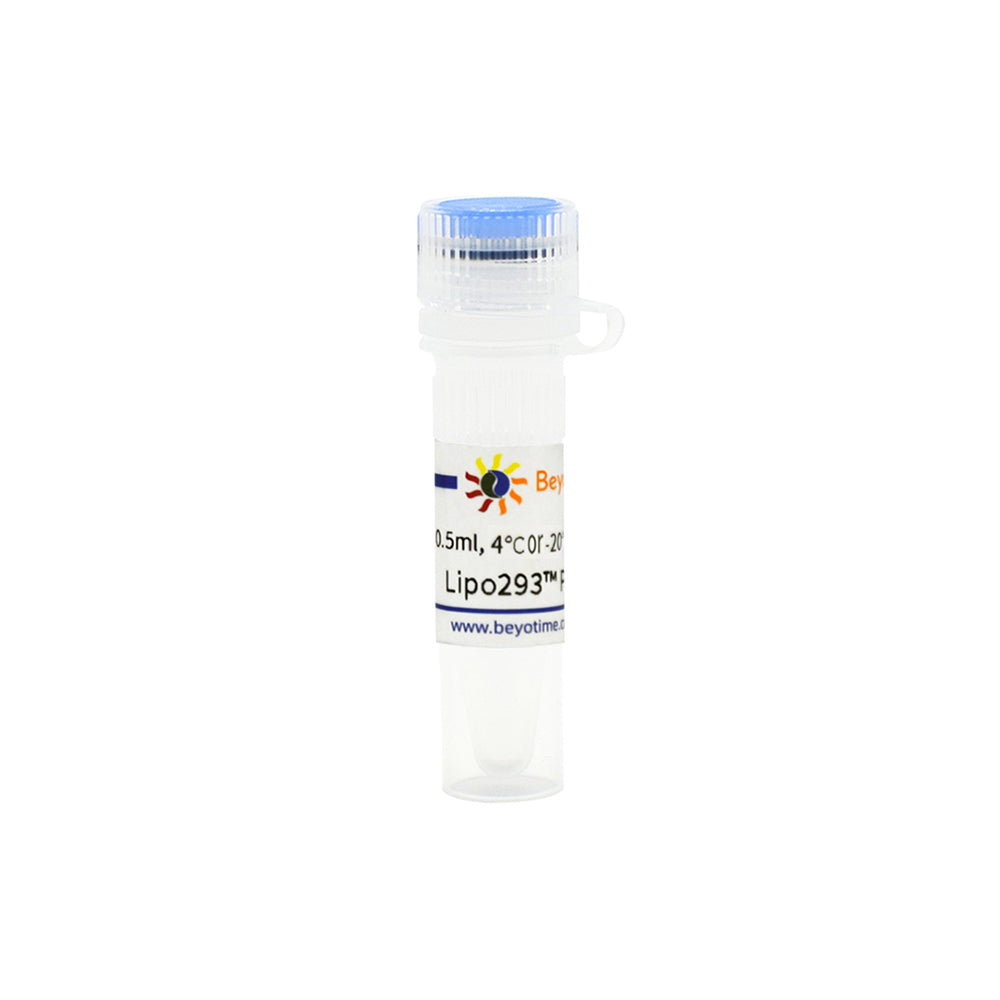 Lipo293™ Plus Transfection Reagent, 0.5 mL