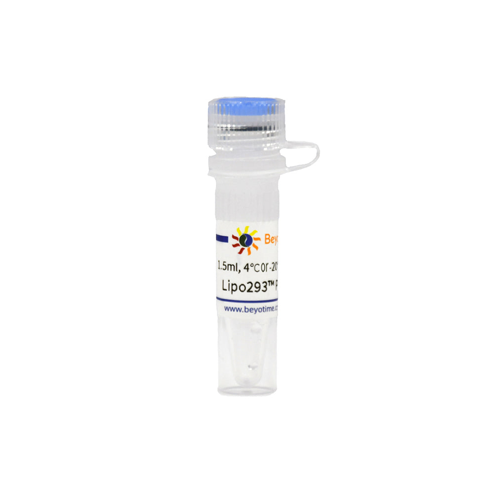 Lipo293™ Plus Transfektionsreagenz, 1,5 ml