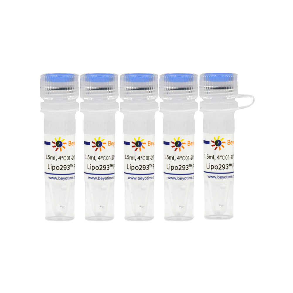 Lipo293™ Plus Transfection Reagent, 7.5 mL