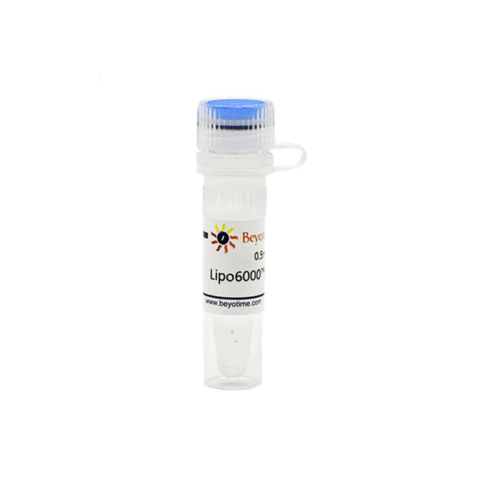 Lipo6000™ Transfektionsreagenz, 0,5 ml