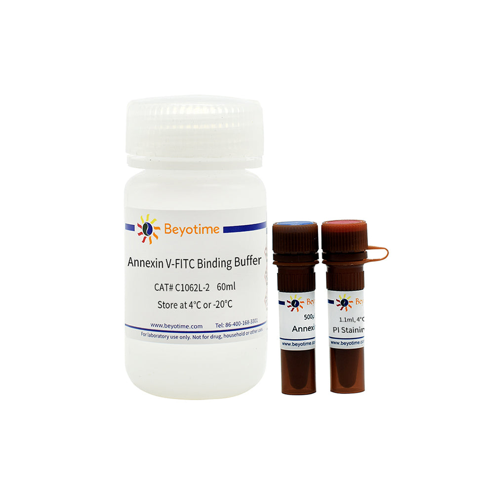 Annexin V-FITC Apoptose-Erkennungskit, 100T