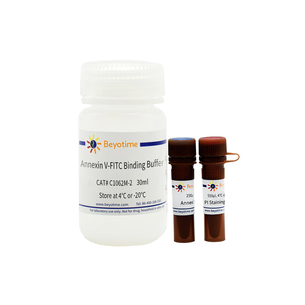 Annexin V-FITC Apoptose-Erkennungskit, 50T