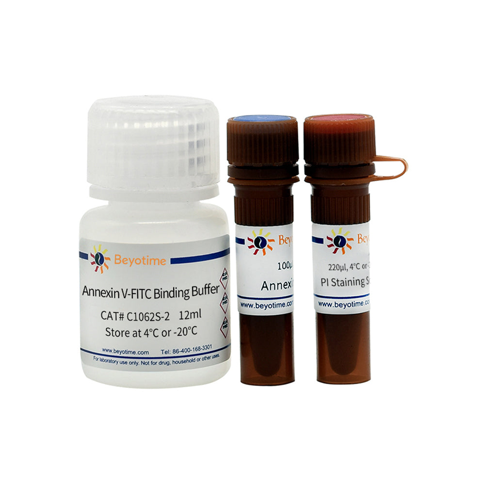 Annexin V-FITC Apoptose-Erkennungskit, 20T