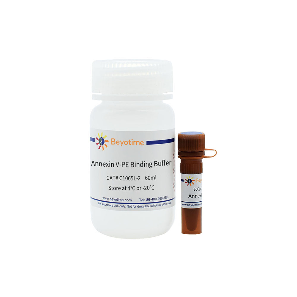 Annexin V-PE Apoptose-Erkennungskit, 100T
