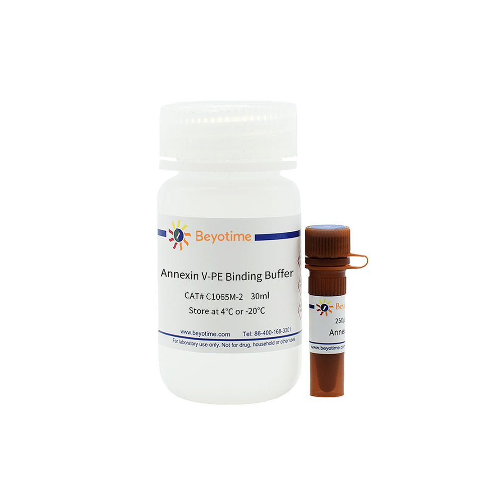 Annexin V-PE Apoptose-Erkennungskit, 50T
