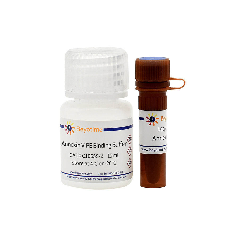 Annexin V-PE Apoptose-Erkennungskit, 20T
