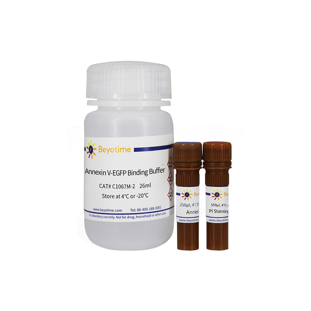 Annexin V-EGFP Apoptose-Erkennungskit, 50T