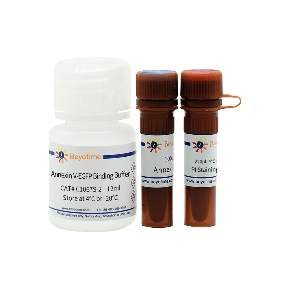 Annexin V-EGFP Apoptose-Erkennungskit, 20T