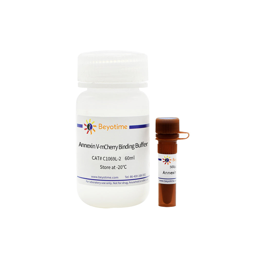 Annexin V-mCherry Apoptose-Erkennungskit, 100T