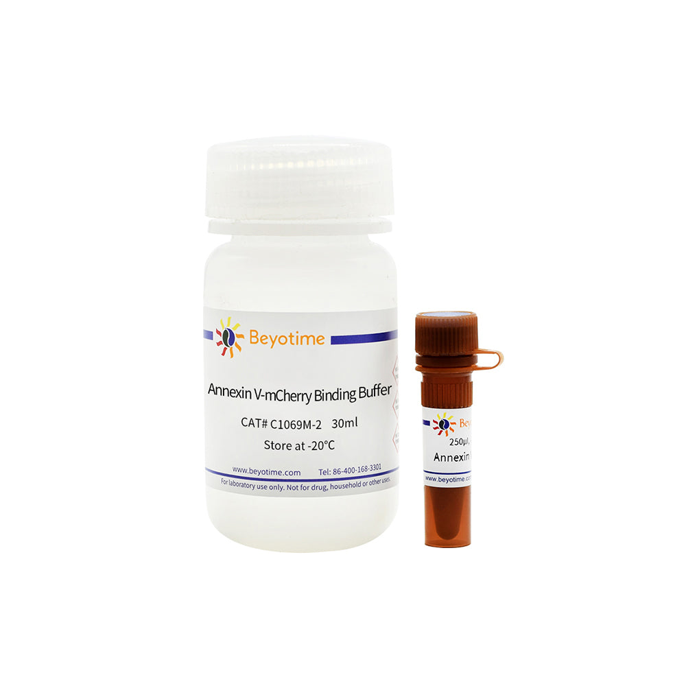 Annexin V-mCherry Apoptose-Erkennungskit, 50T