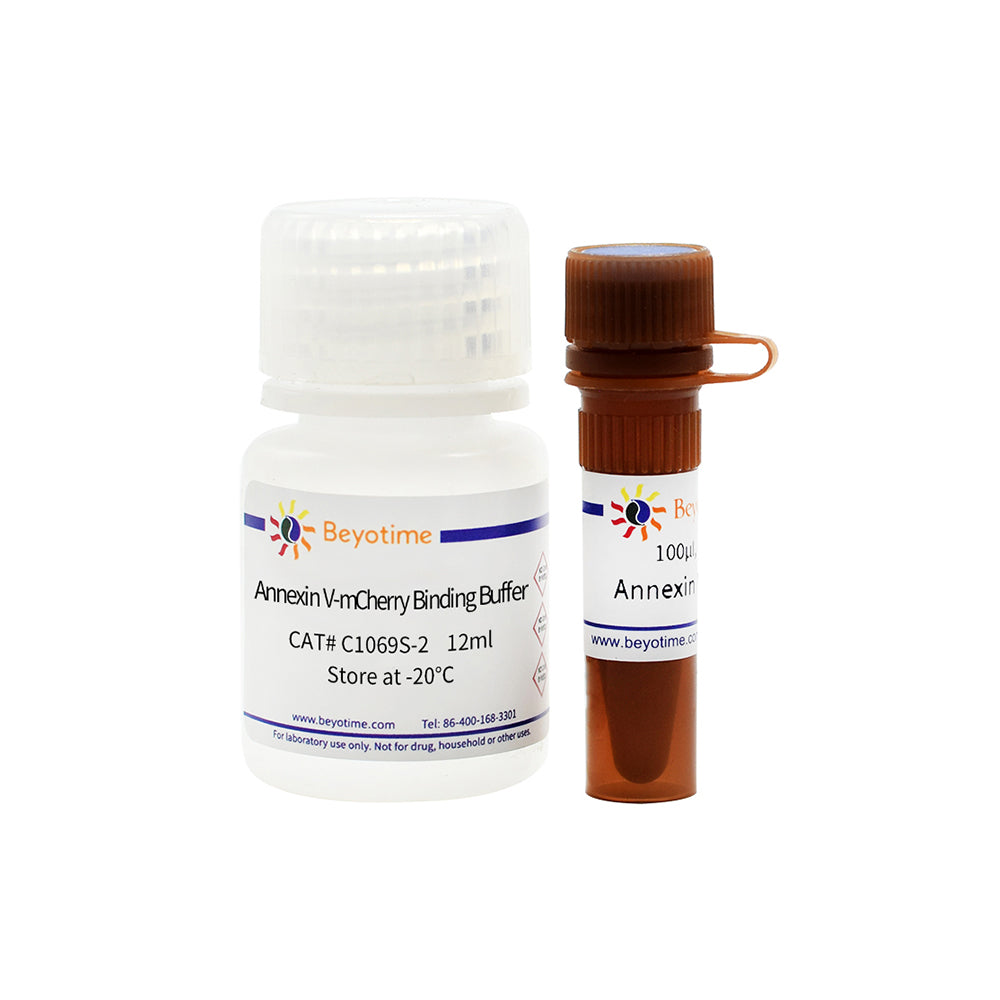 Annexin V-mCherry Apoptose-Erkennungskit, 20T