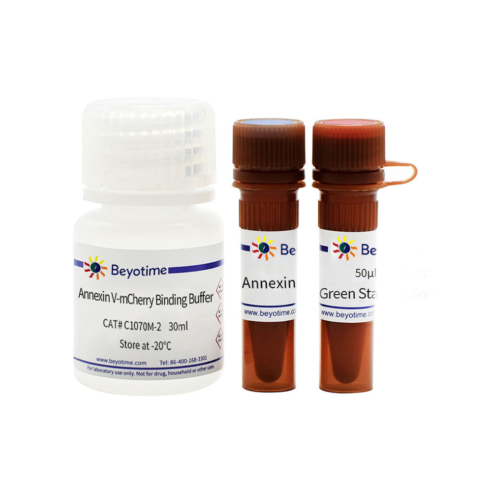 Zellapoptose-Erkennungskit mit Annexin V-mCherry und SYTOX Green, 50T