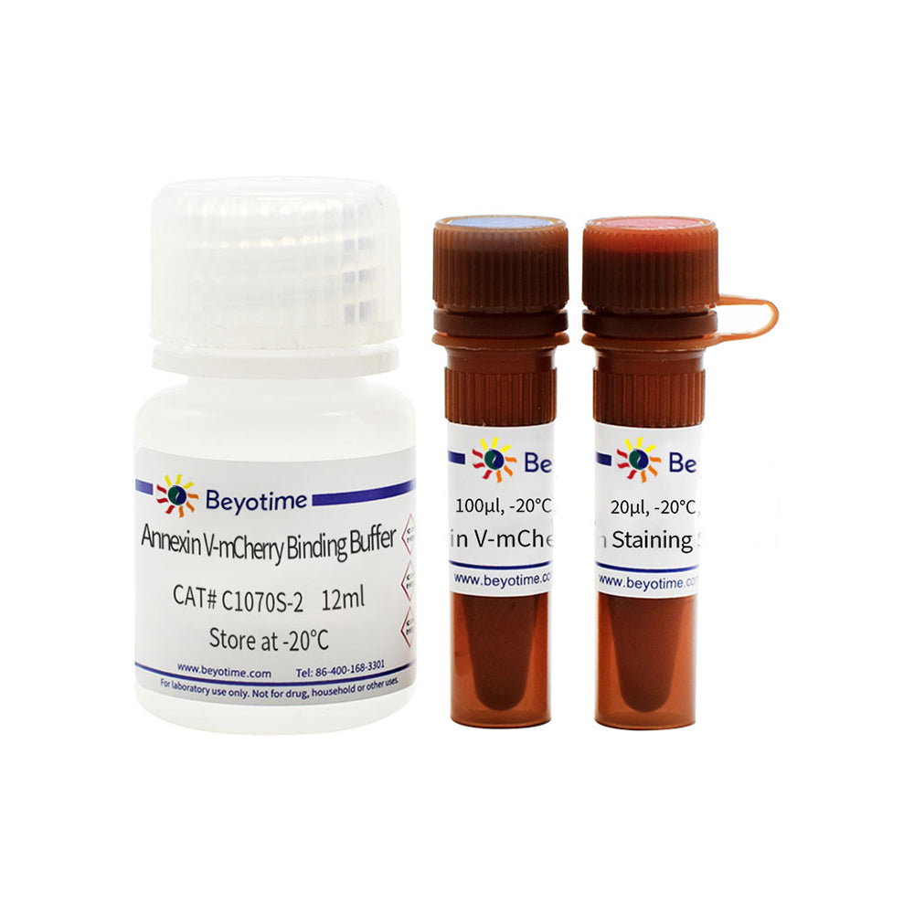 Zellapoptose-Erkennungskit mit Annexin V-mCherry und SYTOX Green, 20T