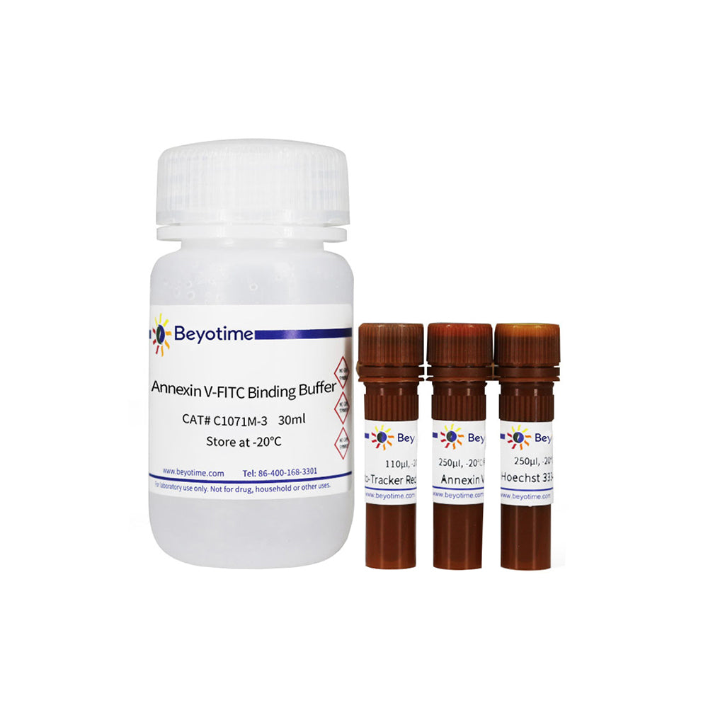 Kit zur Erkennung von mitochondrialem Membranpotential und Apoptose mit Mito-Tracker Red CMXRos und Annexin V-FITC, 50T