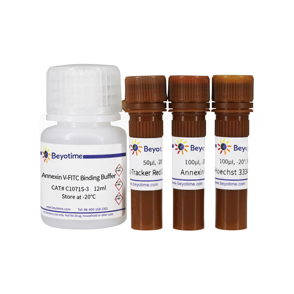 Kit zur Erkennung von mitochondrialem Membranpotential und Apoptose mit Mito-Tracker Red CMXRos und Annexin V-FITC, 20T