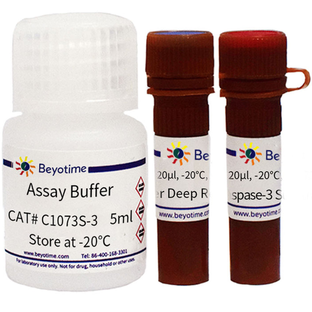Kit zur Erkennung von Caspase-3-Aktivität und mitochondrialem Membranpotential für lebende Zellen, 20T