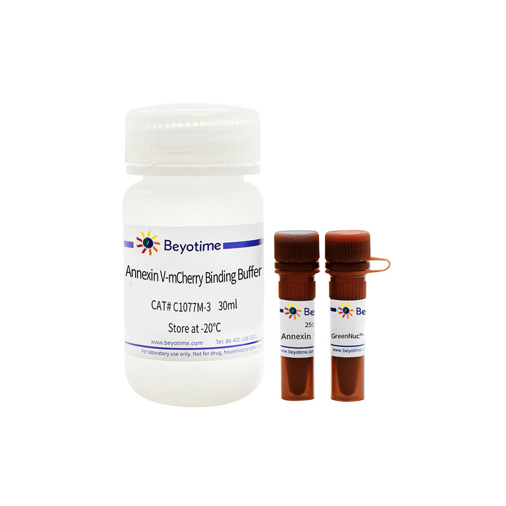 Caspase-3-Aktivitäts- und Apoptose-Erkennungskit für lebende Zellen, 50T