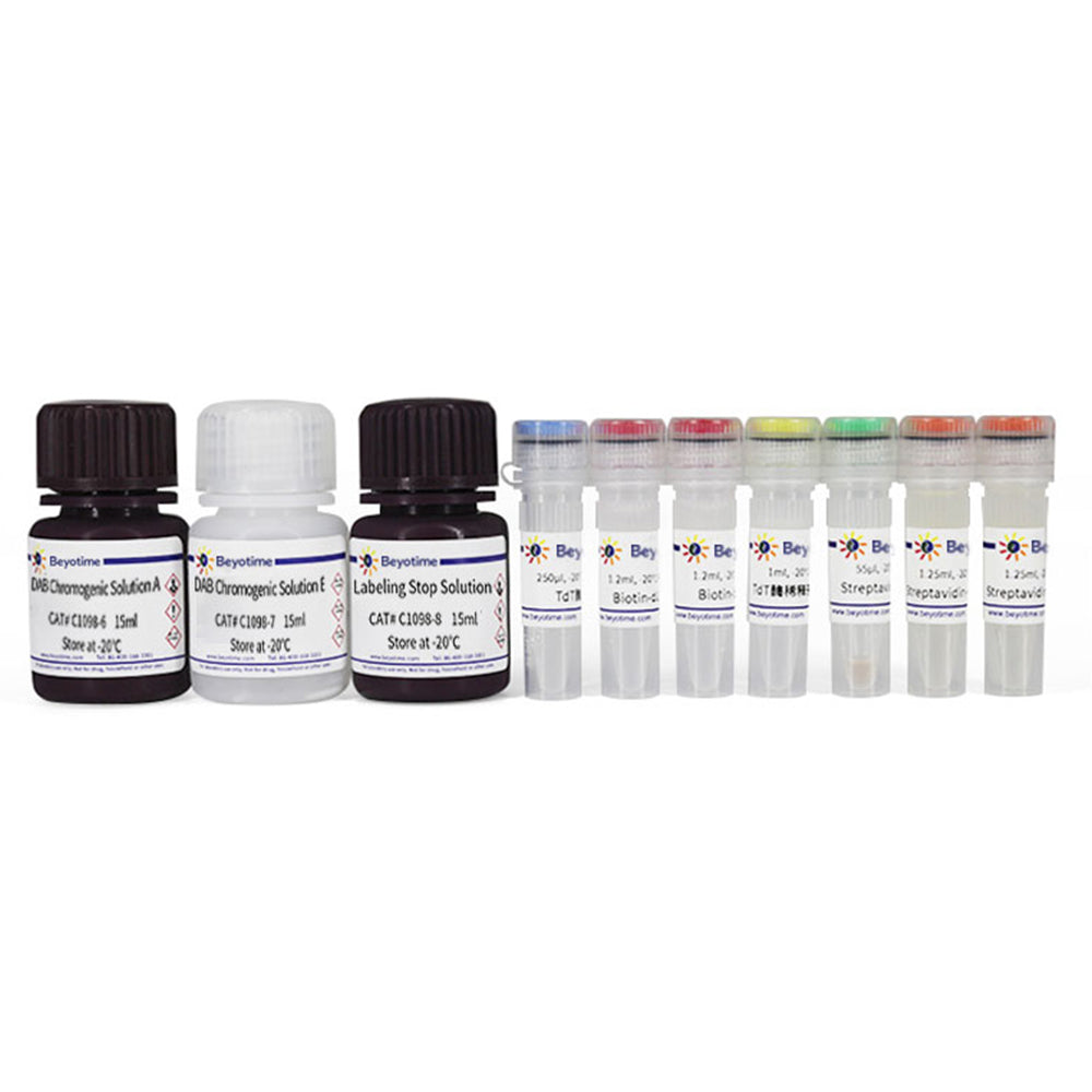 Kolorimetrisches TUNEL-Apoptose-Assay-Kit, 50T