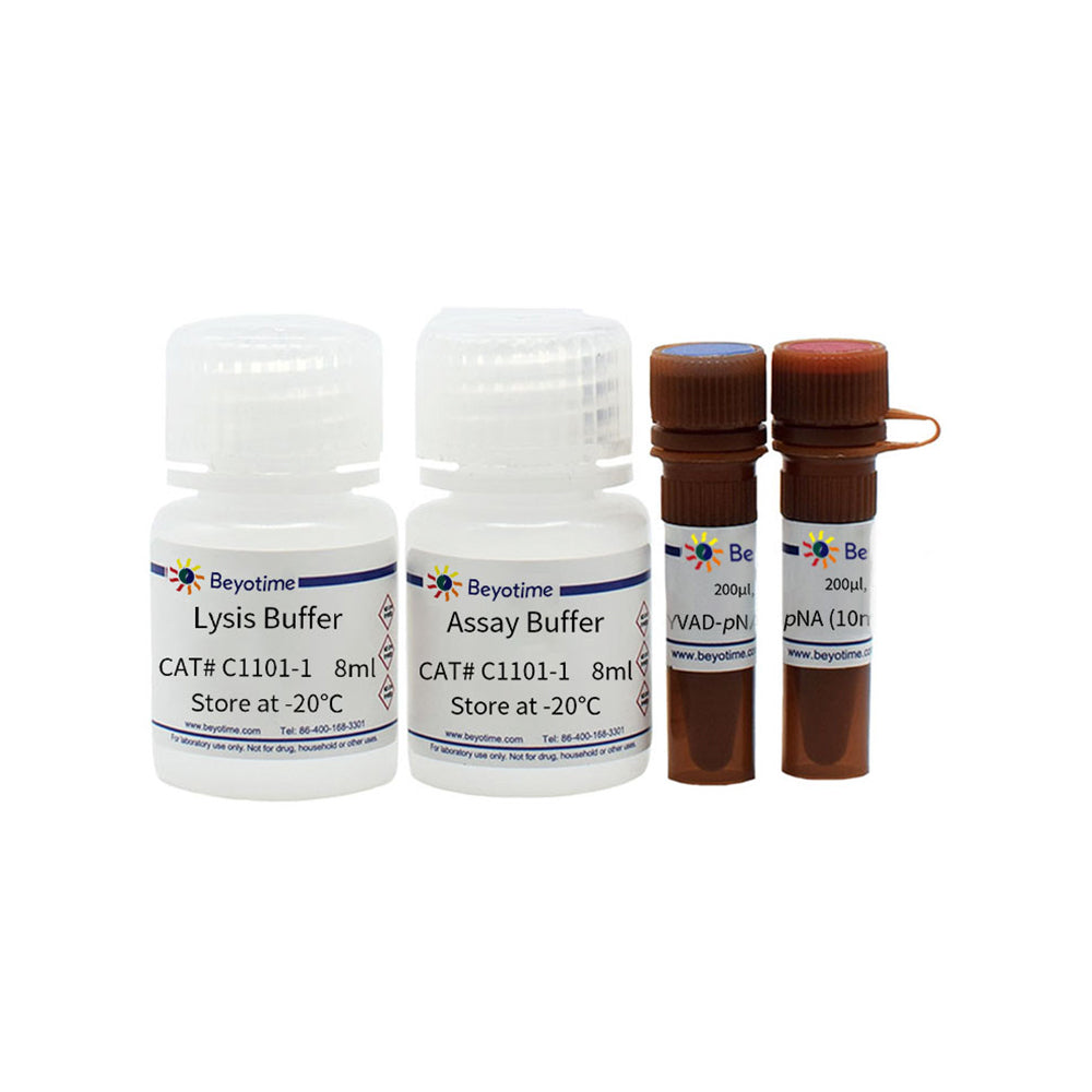 Caspase 1 Aktivitätstestkit, 20T