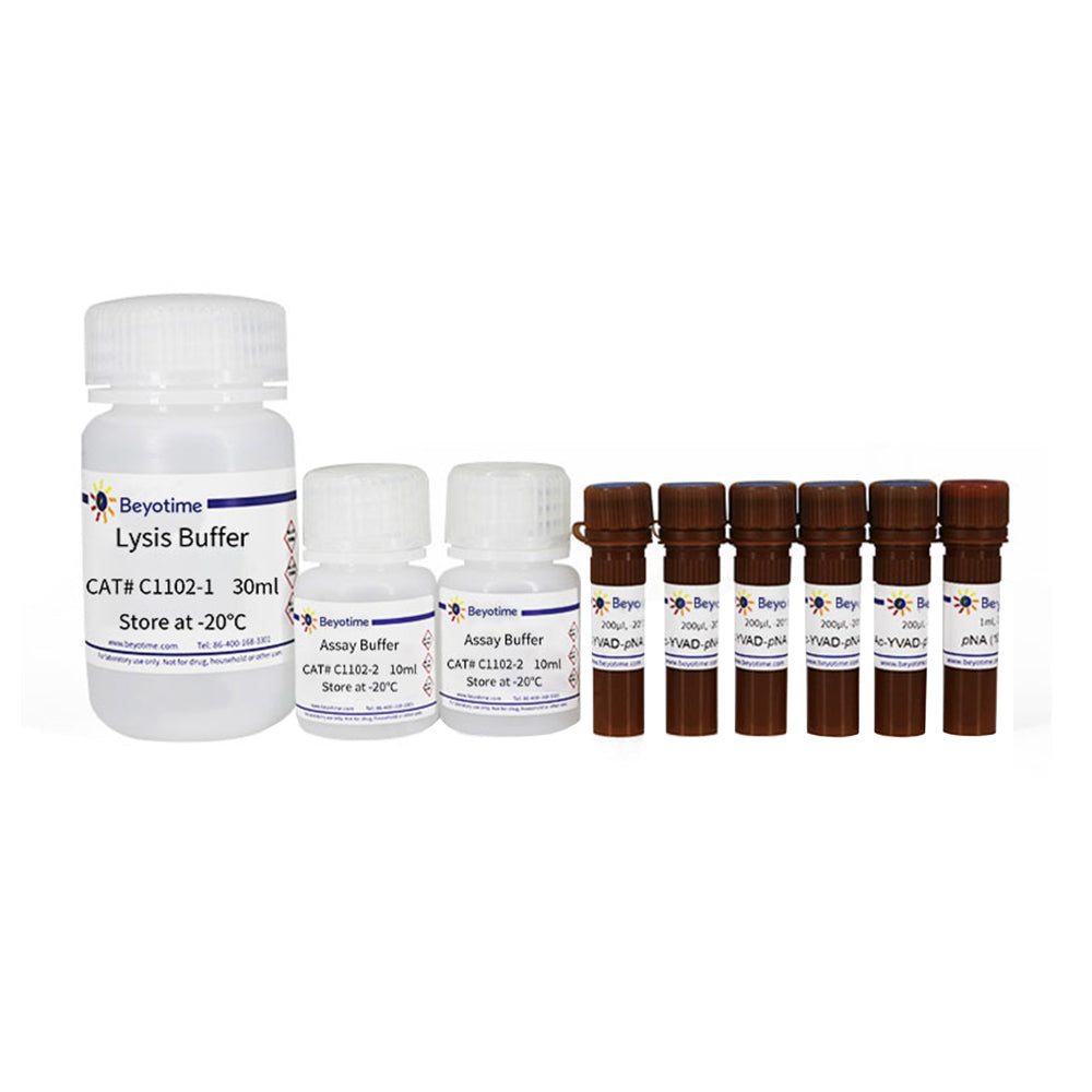Caspase 1 Aktivitätstestkit, 100T