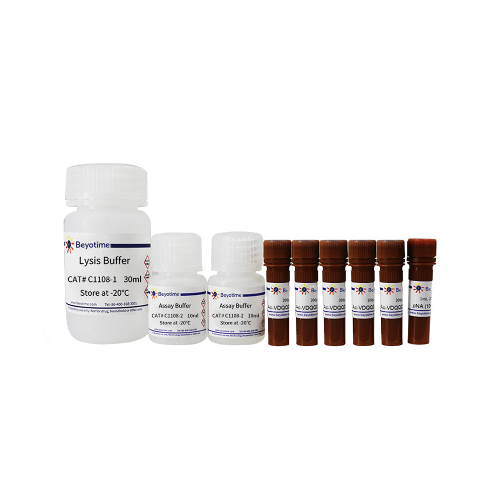 Caspase 2-Aktivitätstestkit, 100T