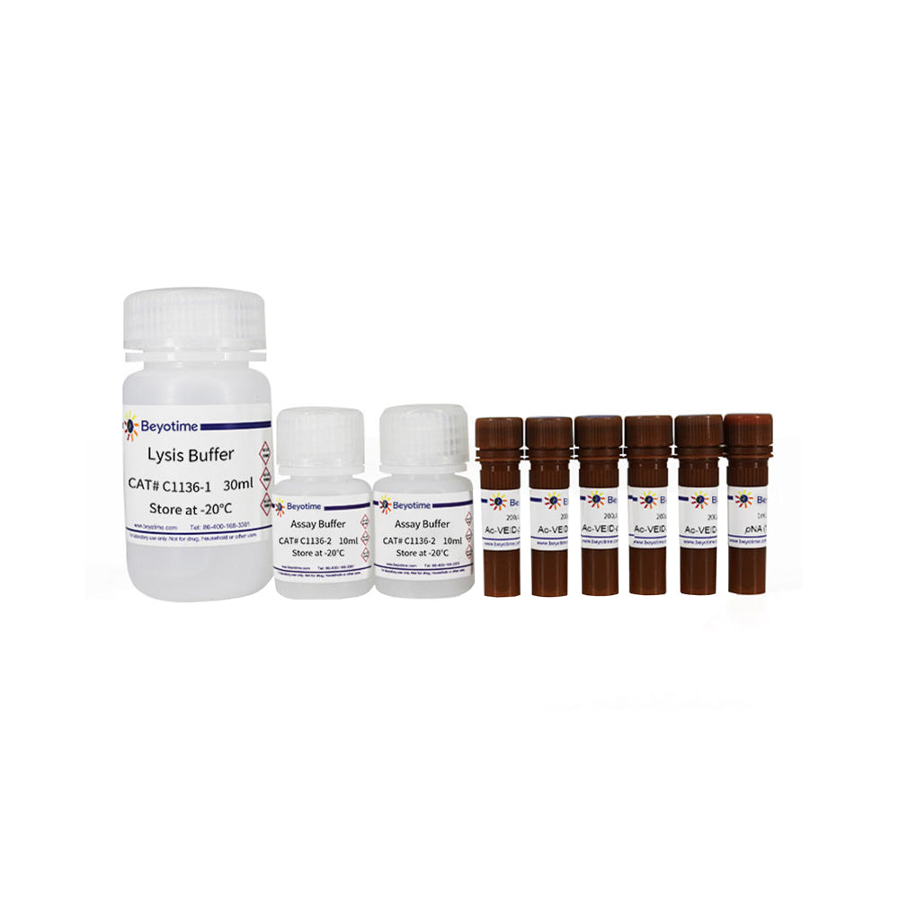 Caspase 6-Aktivitätstestkit, 100T