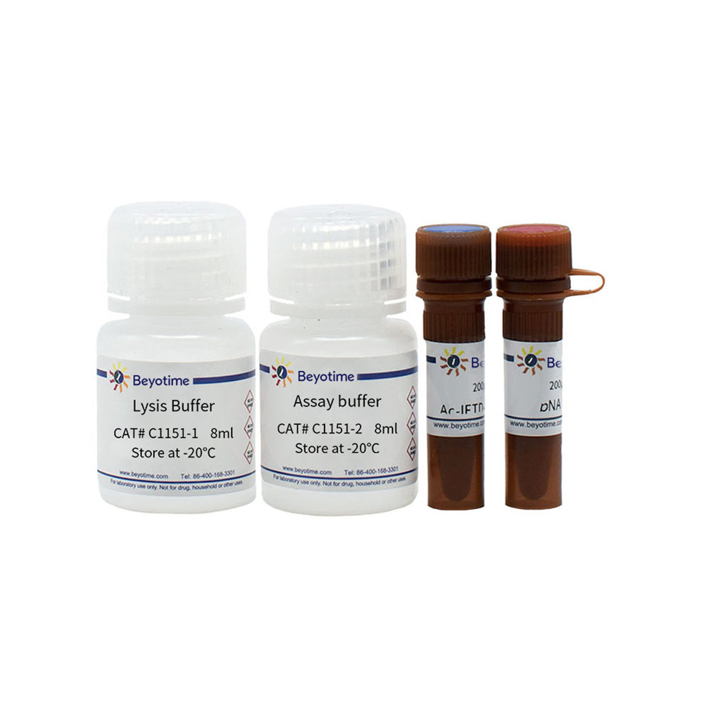 Caspase 8-Aktivitätstestkit, 20T