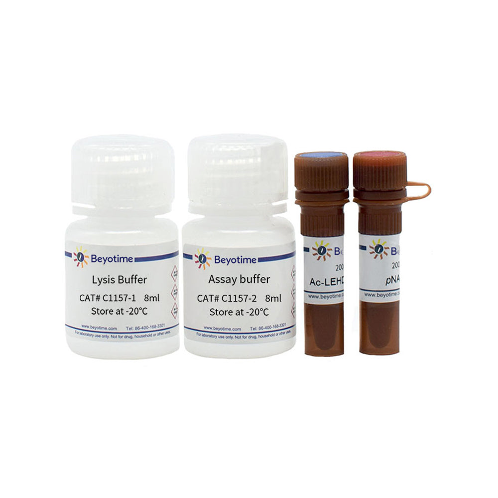 Caspase 9 Aktivitätstestkit, 20T