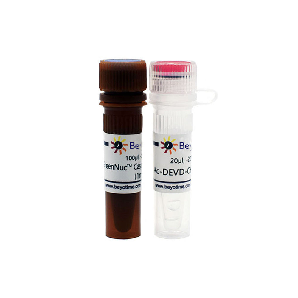 GreenNuc™ Caspase-3-Testkit für lebende Zellen, 100–200 T