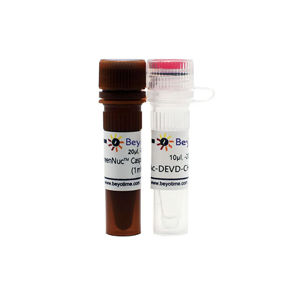 GreenNuc™ Caspase-3-Testkit für lebende Zellen, 20–40 t