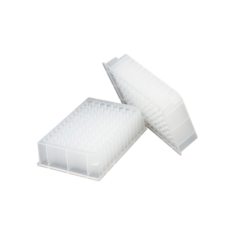 Collection Plate (2 Pack)
