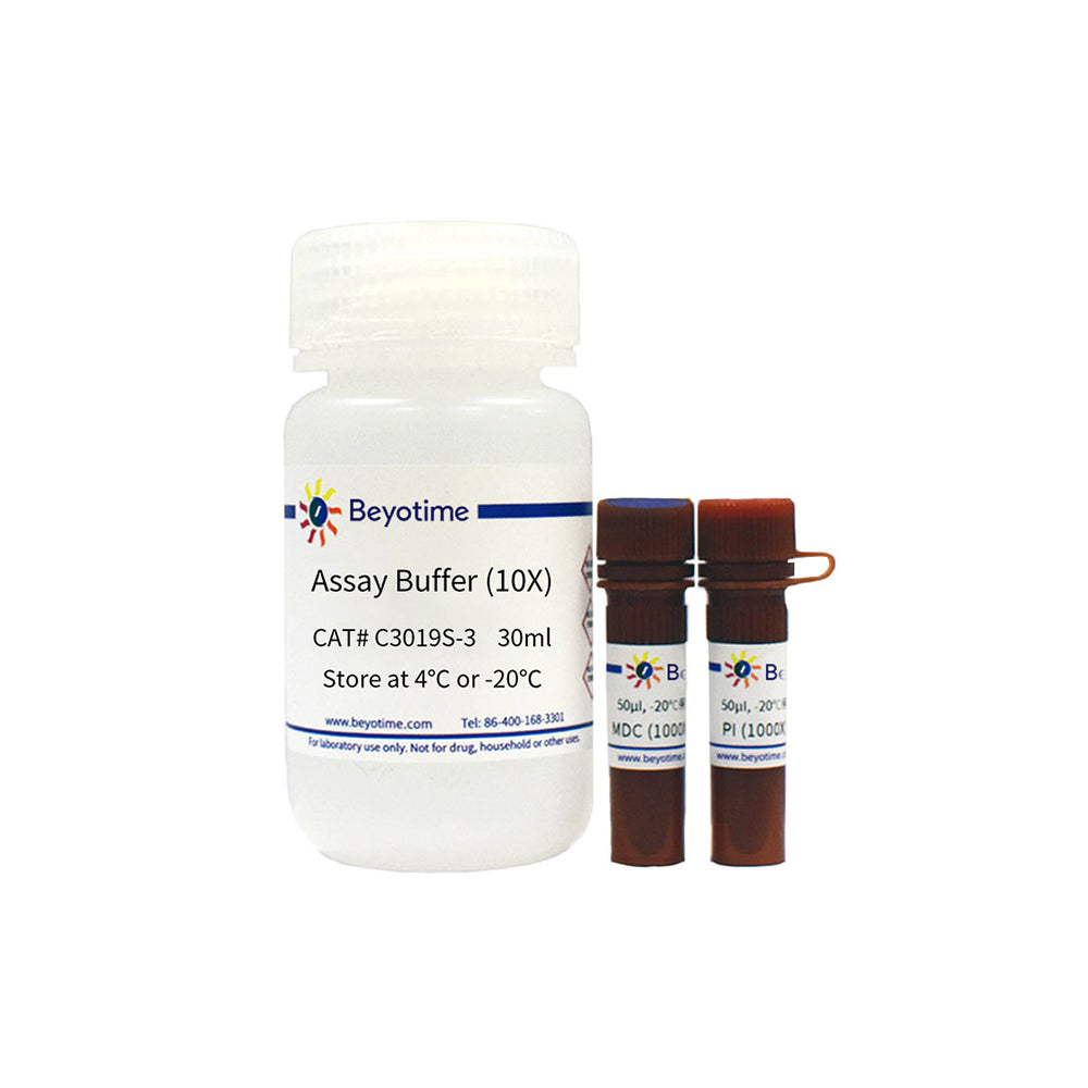 Autophagie-Färbetestkit mit MDC und PI, 50-500T