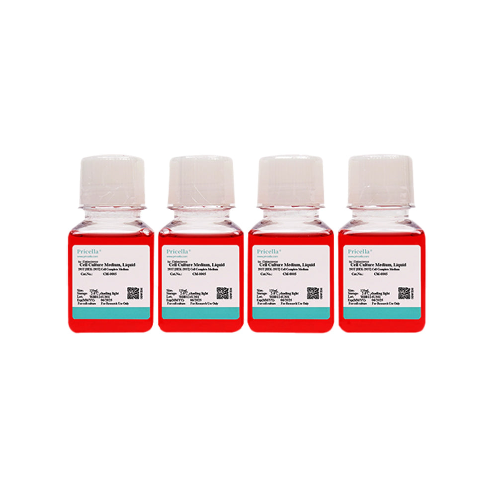 293T [HEK-293T] Cell Complete Medium, 125mL×4