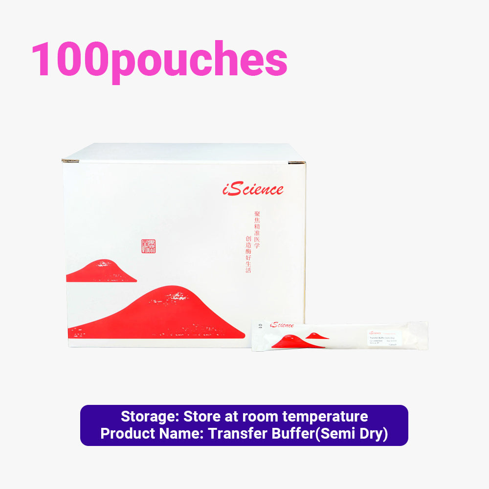 100 Packs of Transfer Buffer(Semi Dry), 1 L/pouch Concentration, Room Temperature Storage, Suitable for Ambient Shipping