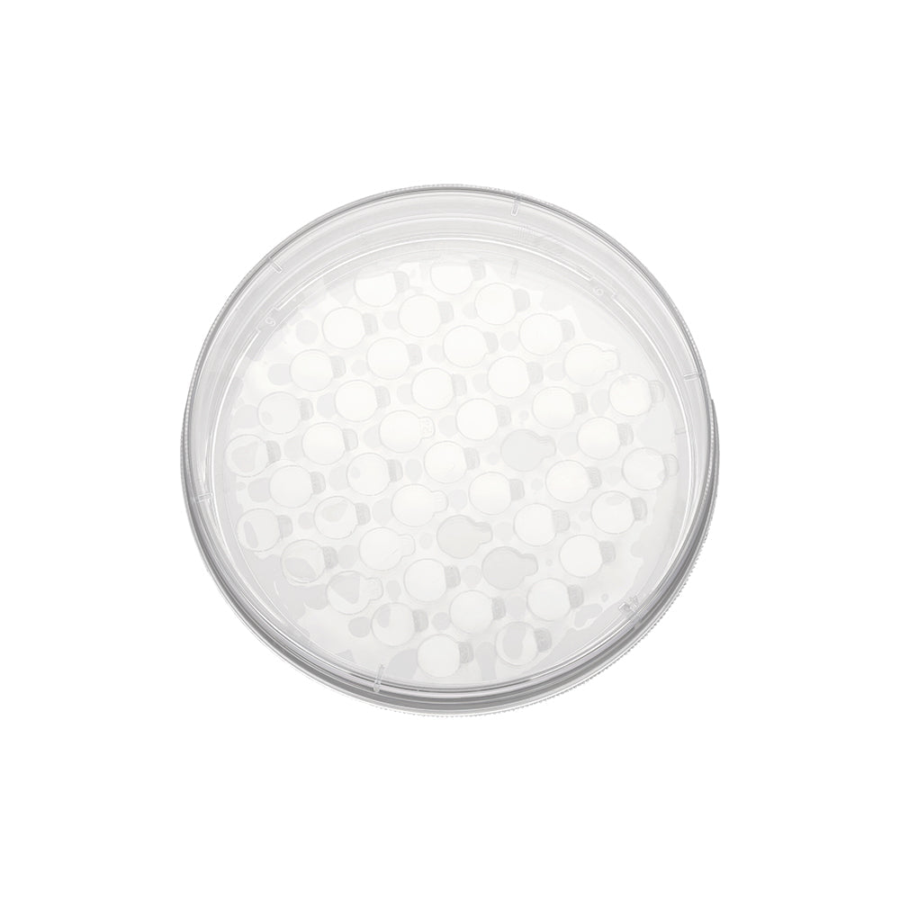 Cell Slide Dish, 6.0 cm, slide Membrane diameter 10 mm quantity 12pcs, Total culture area 9.42 cm², TC-treated, Sterile, 48piece(s)/case