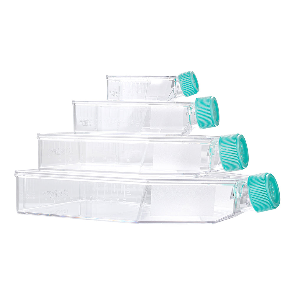 Cell and Tissue Culture Flasks, 12.5 cm², 25ml, TC-treated, Plug seal, 200piece(s)/case