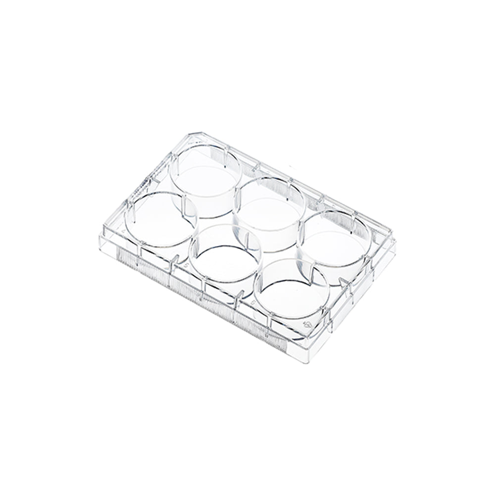Cell and Tissue Culture Plates, 6 well, Flat Bottom, TC treated, Sterile, Blister Packaging(triple bags packaging), 100piece(s)/case