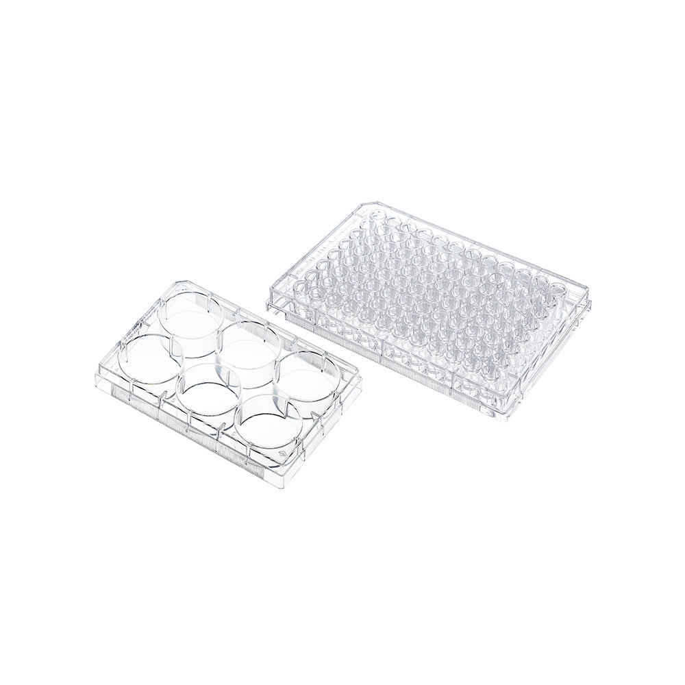 Cell and Tissue Culture Plates, 6 well, Flat Bottom, TC treated, Sterile, Blister Packaging(triple bags packaging), 100piece(s)/case