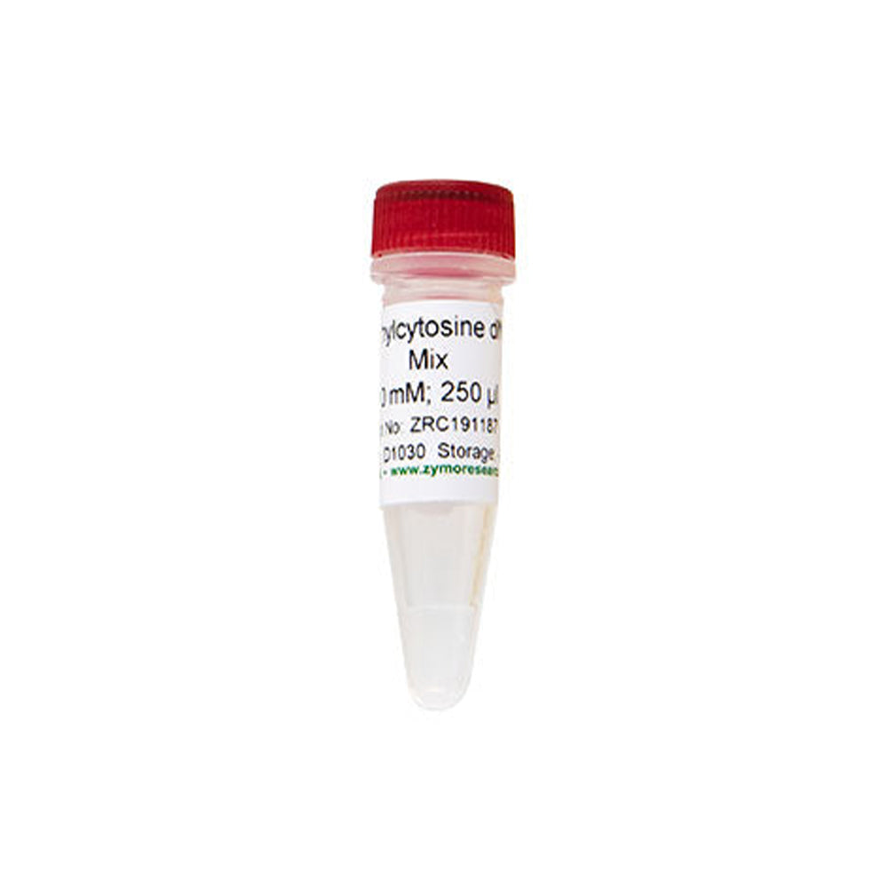 5-Methylcytosine dNTP Mix [10 mM]