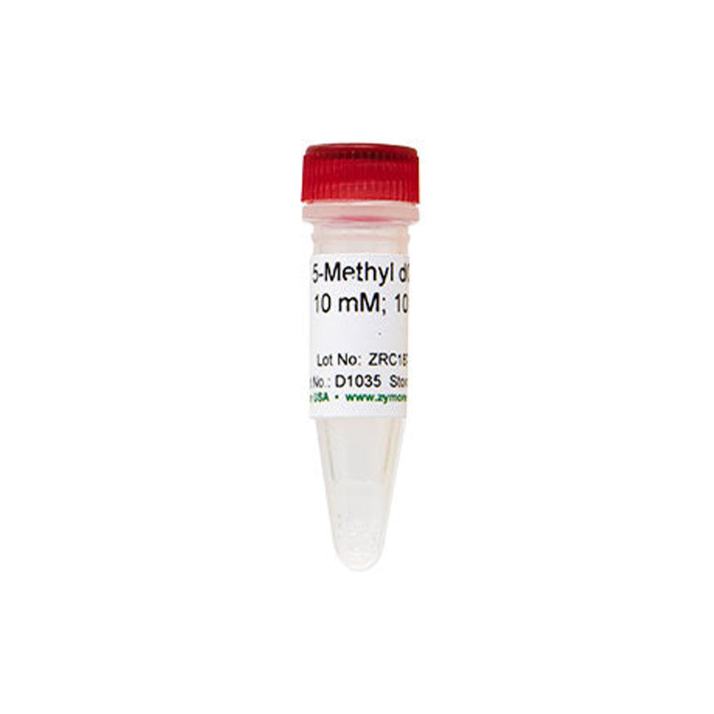 5-Methyl dCTP [10 mM]