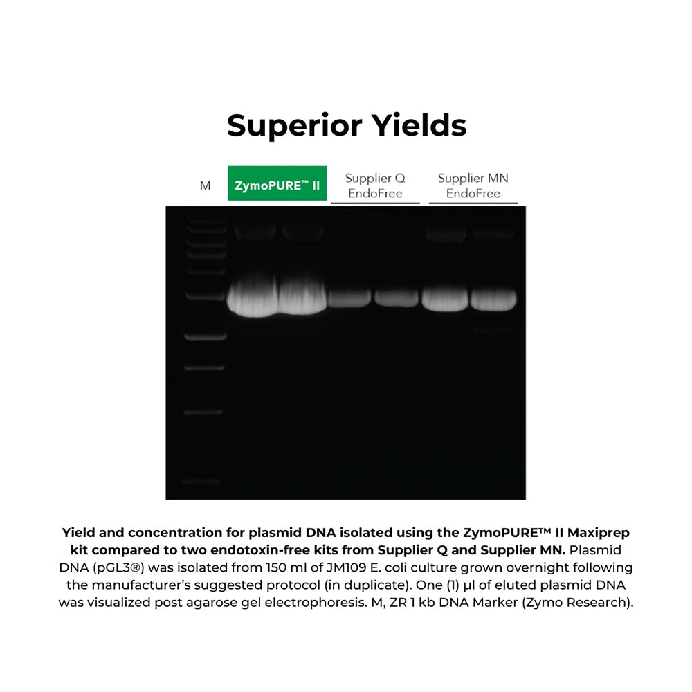 ZymoPURE II™ Plasmid Maxiprep (10 preps)