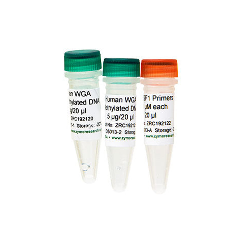 Human WGA Methylated DNA (5 μg / 20 μl)