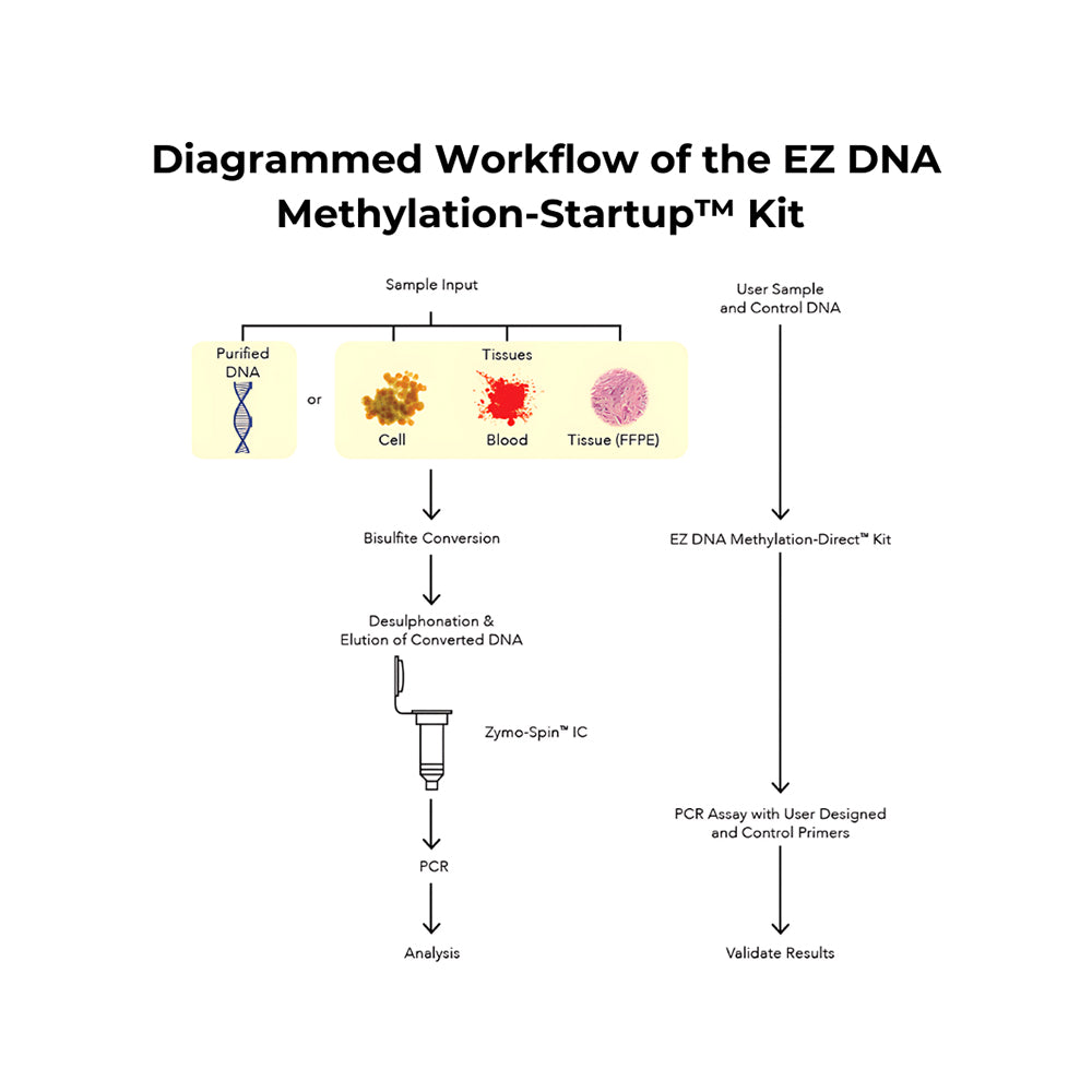 EZ DNA Methlyation-Startup™ Kit (50 Preps) [Includes Room Temp Item D5020 x 1 and Dry Ice Items D5011 x 1 & E2003 x 1]