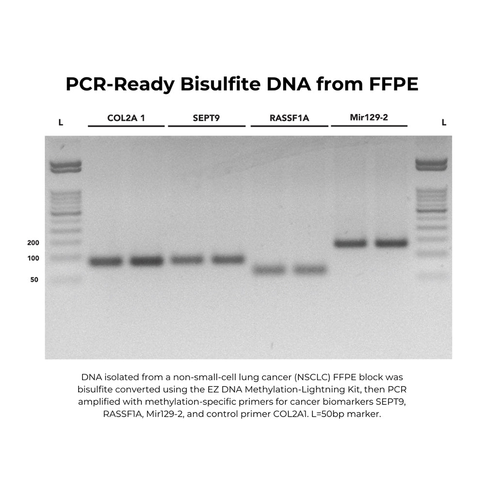 EZ-96 DNA Methylation-Lightning Kit (Deep-Well) (2x96 rxns.)